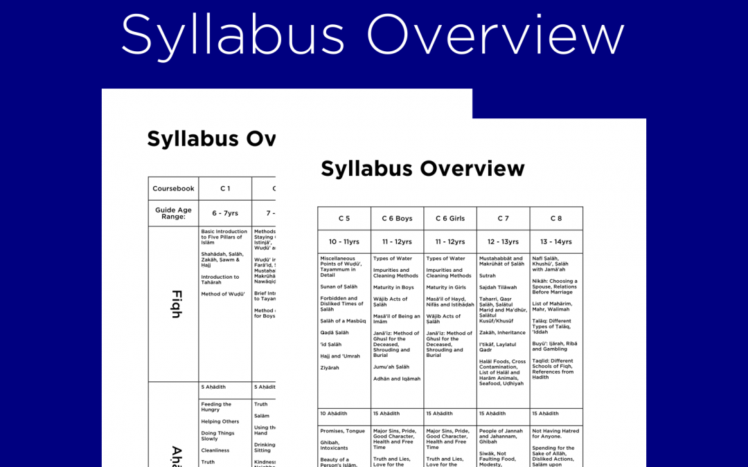 Syllabus Overview