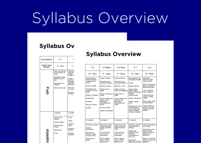 Syllabus Overview