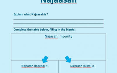 Types of Najasah C3 Activity