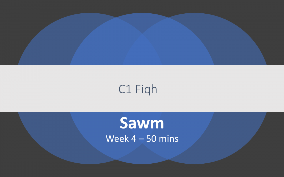 Lesson Plan Sawm C1