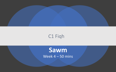 Lesson Plan Sawm C1