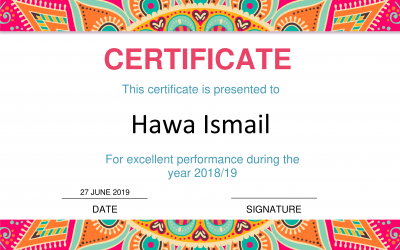 Excellent Performance Certificate