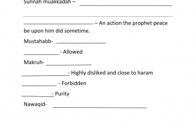 Terminology Test