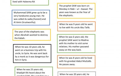 C1 Sirah – cut and stick activity