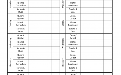 Study Schedule