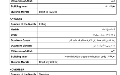 Toddler Tarbiyyah Curriculum